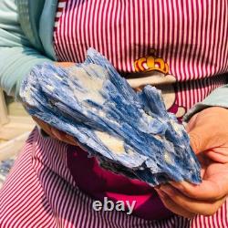 2 pieces 4.88LB Natural Blue Crystal Kyanite Rough Gem mineral Specimen 1899
