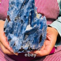 2 pieces 4.88LB Natural Blue Crystal Kyanite Rough Gem mineral Specimen 1899