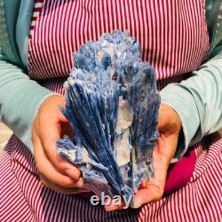 2 pieces 4.88LB Natural Blue Crystal Kyanite Rough Gem mineral Specimen 1899