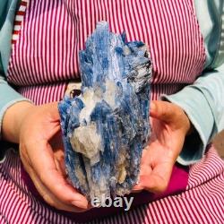 2 pieces 4.88LB Natural Blue Crystal Kyanite Rough Gem mineral Specimen 1899