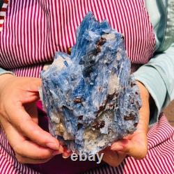 2 pieces 4.88LB Natural Blue Crystal Kyanite Rough Gem mineral Specimen 1899