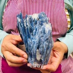2 pieces 5.91LB Natural Blue Crystal Kyanite Rough Gem mineral Specimen 1900