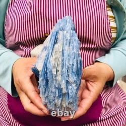2 pieces 5.91LB Natural Blue Crystal Kyanite Rough Gem mineral Specimen 1900
