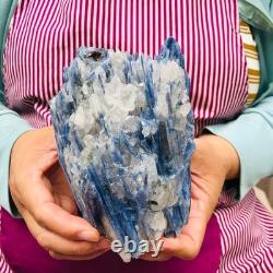 2 pieces 5.91LB Natural Blue Crystal Kyanite Rough Gem mineral Specimen 1900