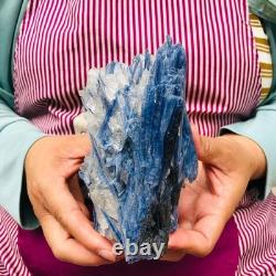 2 pieces 5.91LB Natural Blue Crystal Kyanite Rough Gem mineral Specimen 1900