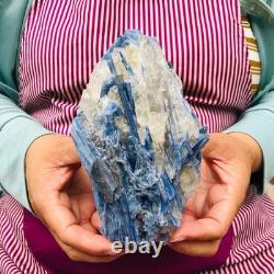 2 pieces 5.91LB Natural Blue Crystal Kyanite Rough Gem mineral Specimen 1900
