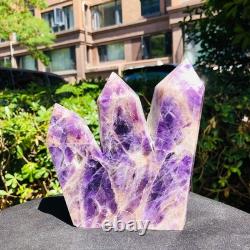 2piec6.11LB Natural dreamy amethyst quartz crystal multiple pointed columns 1167
