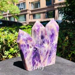 2piec6.11LB Natural dreamy amethyst quartz crystal multiple pointed columns 1167