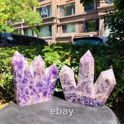 2piec6.11LB Natural dreamy amethyst quartz crystal multiple pointed columns 1167