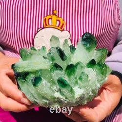 2pieces 3.32LB New Find green PhantomQuartz Crystal Cluster MineralSpecimen 708