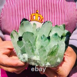 2pieces 3.32LB New Find green PhantomQuartz Crystal Cluster MineralSpecimen 708