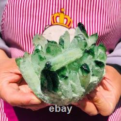 2pieces 3.32LB New Find green PhantomQuartz Crystal Cluster MineralSpecimen 708