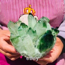 2pieces 3.32LB New Find green PhantomQuartz Crystal Cluster MineralSpecimen 708