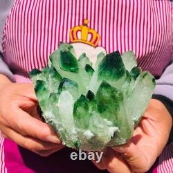 2pieces 3.32LB New Find green PhantomQuartz Crystal Cluster MineralSpecimen 708