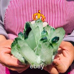 2pieces 3.32LB New Find green PhantomQuartz Crystal Cluster MineralSpecimen 708