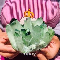 2pieces 3.32LB New Find green PhantomQuartz Crystal Cluster MineralSpecimen 708
