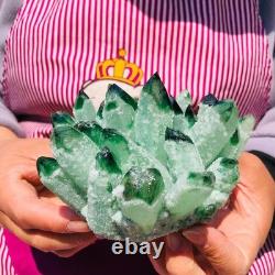 2pieces 3.32LB New Find green PhantomQuartz Crystal Cluster MineralSpecimen 708