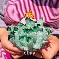 2pieces 3.32LB New Find green PhantomQuartz Crystal Cluster MineralSpecimen 708