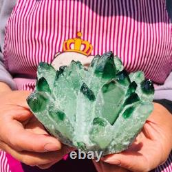 2pieces 3.32LB New Find green PhantomQuartz Crystal Cluster MineralSpecimen 708