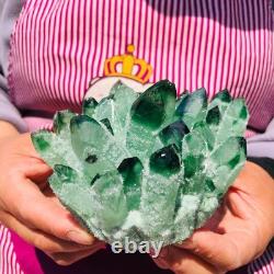 2pieces 3.32LB New Find green PhantomQuartz Crystal Cluster MineralSpecimen 708