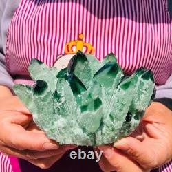 2pieces 3.32LB New Find green PhantomQuartz Crystal Cluster MineralSpecimen 708
