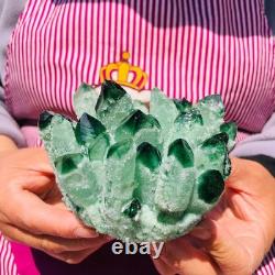 2pieces 3.32LB New Find green PhantomQuartz Crystal Cluster MineralSpecimen 708