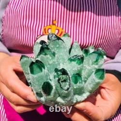 2pieces 3.32LB New Find green PhantomQuartz Crystal Cluster MineralSpecimen 708