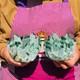 2pieces 3.69lb New Discovery Green Ghost Crystal Cluster Mineral Healing 1821