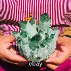 2pieces 4.52LB New Find green PhantomQuartz Crystal Cluster MineralSpecimen 1820