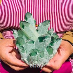 2pieces 4.52LB New Find green PhantomQuartz Crystal Cluster MineralSpecimen 1820