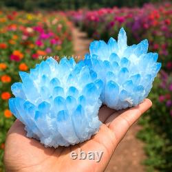 300G Large Rare Baby Blue Phantom Point Quartz Cluster Crystal Home Ornaments