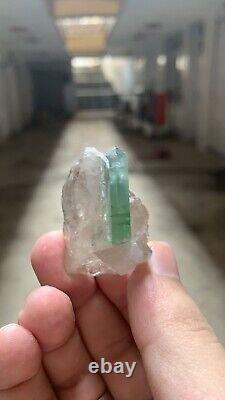 33 gram tourmaline crystals in quartz beautiful piece from Afghanistan
