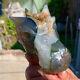 353g Natural And Beautiful Agate Carved Butterfly Druze Piece