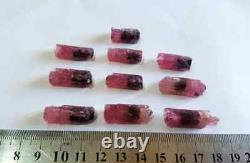 35 Grams 10 Pieces Bi Color Very Beautiful Etched Terminated Tourmaline Crystals
