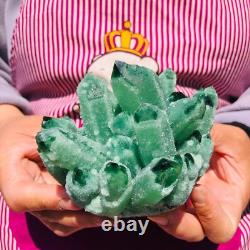 3Pieces 2070g Rare Twinkling Green Phantom Quartz Crystal Cluster Specimen 712