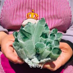 3Pieces 2070g Rare Twinkling Green Phantom Quartz Crystal Cluster Specimen 712
