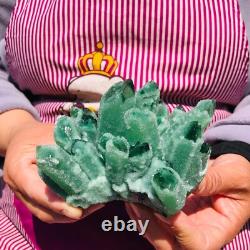 3Pieces 2070g Rare Twinkling Green Phantom Quartz Crystal Cluster Specimen 712