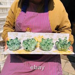 3.68LB 4pcs New find green Phantom Quartz Crystal Cluster mineral samples heals