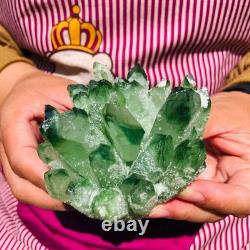 3.68LB 4pcs New find green Phantom Quartz Crystal Cluster mineral samples heals