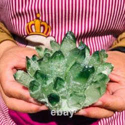 3.68LB 4pcs New find green Phantom Quartz Crystal Cluster mineral samples heals