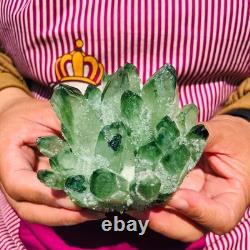 3.68LB 4pcs New find green Phantom Quartz Crystal Cluster mineral samples heals