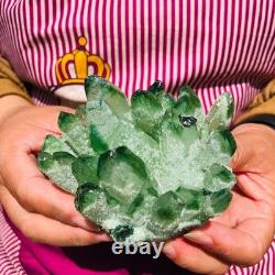 3.68LB 4pcs New find green Phantom Quartz Crystal Cluster mineral samples heals