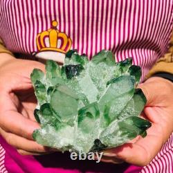 3.68LB 4pcs New find green Phantom Quartz Crystal Cluster mineral samples heals