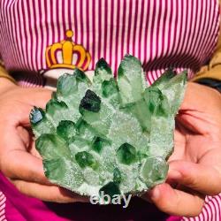 3.68LB 4pcs New find green Phantom Quartz Crystal Cluster mineral samples heals