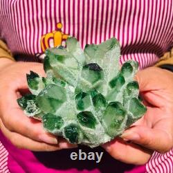 3.68LB 4pcs New find green Phantom Quartz Crystal Cluster mineral samples heals