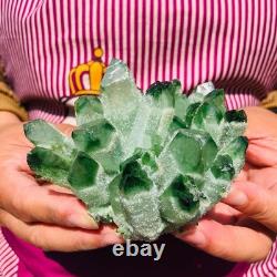 3.68LB 4pcs New find green Phantom Quartz Crystal Cluster mineral samples heals