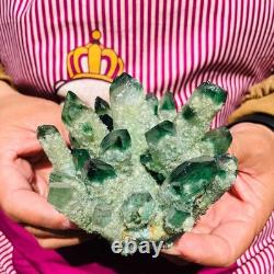 3.68LB 4pcs New find green Phantom Quartz Crystal Cluster mineral samples heals