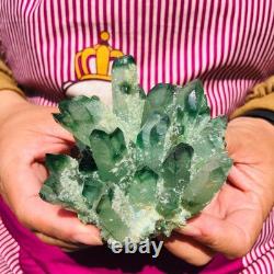 3.68LB 4pcs New find green Phantom Quartz Crystal Cluster mineral samples heals