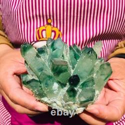 3.68LB 4pcs New find green Phantom Quartz Crystal Cluster mineral samples heals