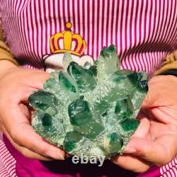 3.68LB 4pcs New find green Phantom Quartz Crystal Cluster mineral samples heals